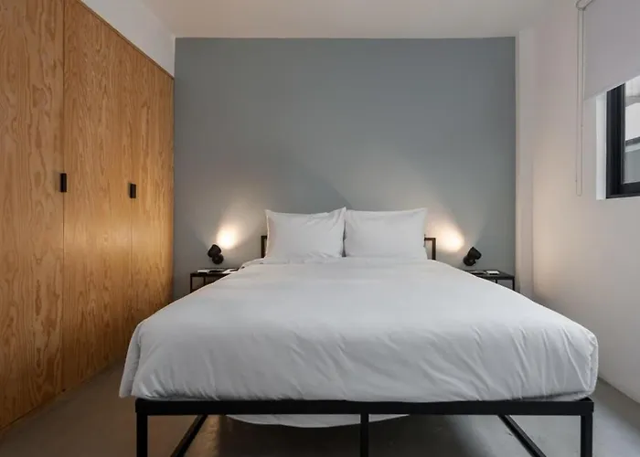 Apartment Homey 2br In Roma Norte