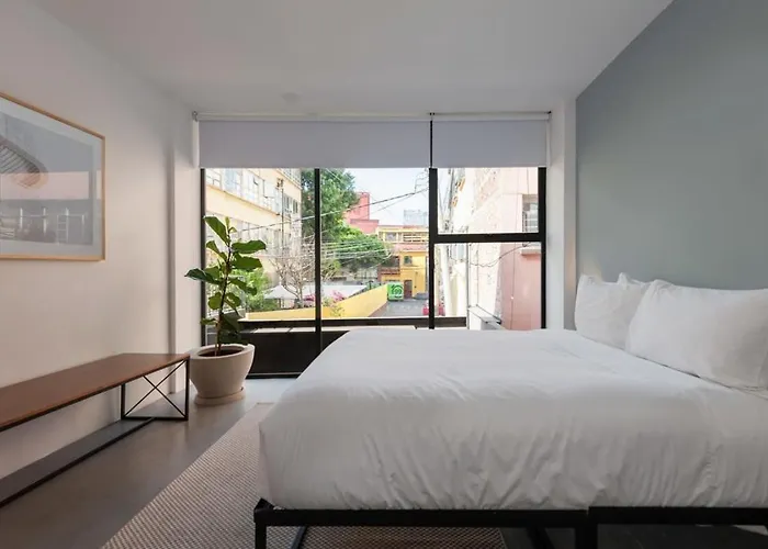 Apartment Homey 2br In Roma Norte Mexico City