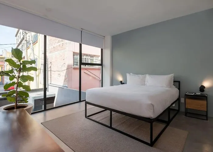 Apartment Homey 2br In Roma Norte *