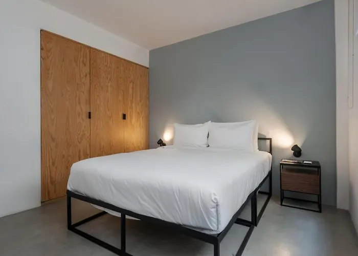 Homey 2br In Roma Norte Mexico City